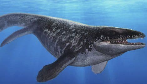 Pronađena neman iz praistorije koja je jela svoju vrstu Pronađena neman iz praistorije koja je jela svoju vrstu