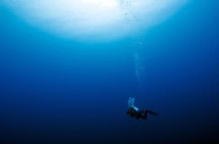 Neobični poslovi koji donose veliki novac Neobični poslovi koji donose veliki novac