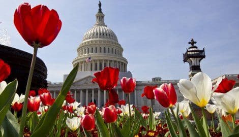 SAD: Senat usvojio zakon o gej pravima SAD: Senat usvojio zakon o gej pravima