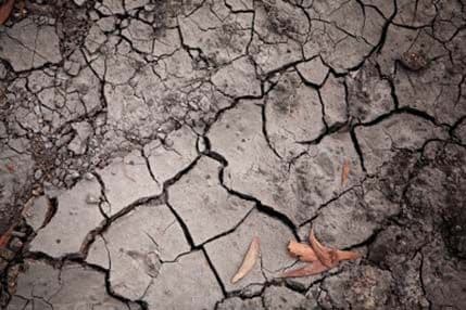 Život na Zemlji: Ovako je sve počelo? Život na Zemlji: Ovako je sve počelo?