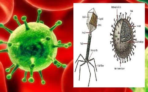 Prvi slučaj koronavirusa MERS u Španiji Prvi slučaj koronavirusa MERS u Španiji