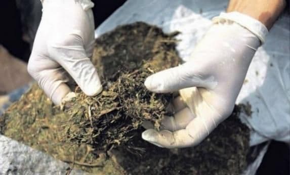 Prijepolje: Uhapšena trojica Podgoričana sa preko 5,5 kilograma marihuane Prijepolje: Uhapšena trojica Podgoričana sa preko 5,5 kilograma marihuane