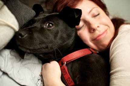 Deset razloga zašto treba da imate psa Deset razloga zašto treba da imate psa