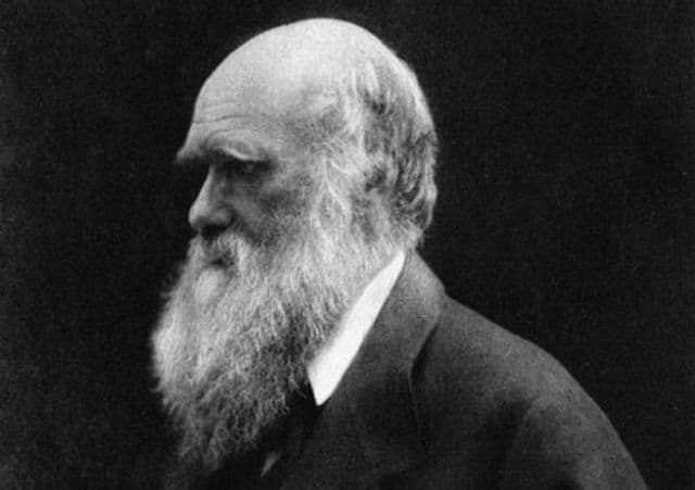 Crkva se izvinjava Čarlsu Darvinu Crkva se izvinjava Čarlsu Darvinu