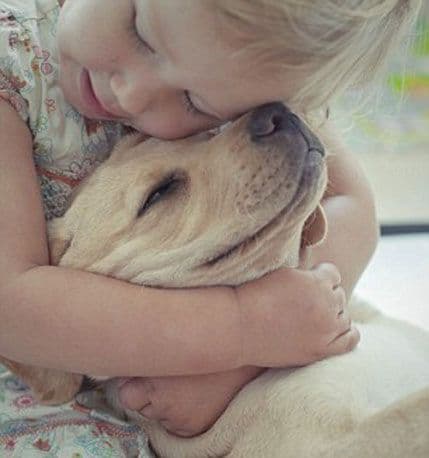 Ljubimci pomažu u smanjenju stresa Ljubimci pomažu u smanjenju stresa