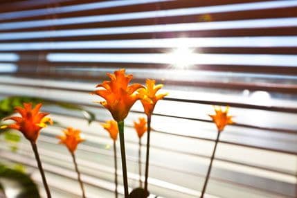 Osvjetljenje nalik prirodnom smanjuje bol Osvjetljenje nalik prirodnom smanjuje bol