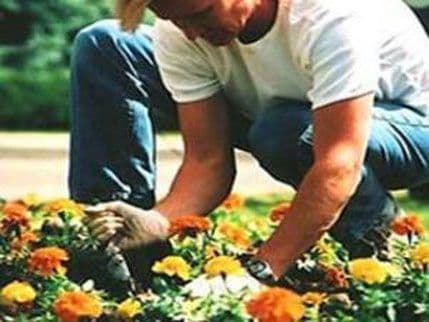 Njemačka: Predsjednik traži baštovana, plata 2.800 eura Njemačka: Predsjednik traži baštovana, plata 2.800 eura