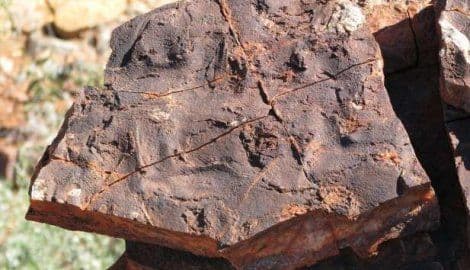 Pronađen najstariji znak života na Zemlji? Pronađen najstariji znak života na Zemlji?