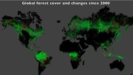 Na Google Earthu predstavljena detaljna mapa svjetskih šuma Na Google Earthu predstavljena detaljna mapa svjetskih šuma