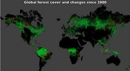 Google Earth: Pogledajte svjetsku mapu šuma Google Earth: Pogledajte svjetsku mapu šuma
