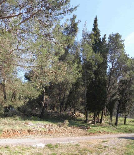 Prikupljeno više od 2.000 potpisa za organizovanje referenduma o gradnji tunela kroz brdo Gorica Prikupljeno više od 2.000 potpisa za organizovanje referenduma o gradnji tunela kroz brdo Gorica