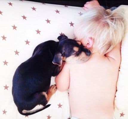 FOTO: Beba i štene drijemaju zajedno FOTO: Beba i štene drijemaju zajedno