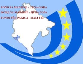 Raspisan konkurs za direktora Fonda za manjine Raspisan konkurs za direktora Fonda za manjine