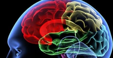 Pet stvari koje mogu značajno poboljšati pamćenje Pet stvari koje mogu značajno poboljšati pamćenje