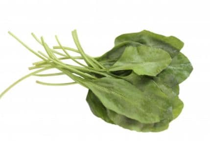 Zbog čega je gvožđe važno za žene Zbog čega je gvožđe važno za žene