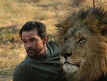 VIDEO: Ovako izgleda život sa lavovima VIDEO: Ovako izgleda život sa lavovima