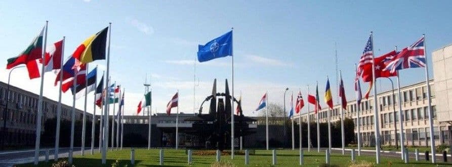 Danilović o integracijama: NATO je oko nas, neće nas napasti Danilović o integracijama: NATO je oko nas, neće nas napasti