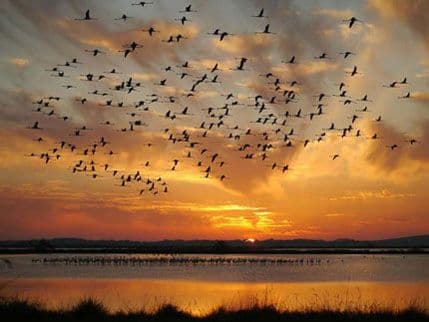 CZIP: Krivolov na Solani se nastavlja CZIP: Krivolov na Solani se nastavlja