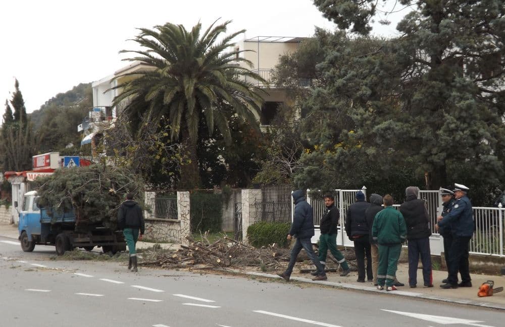 Hladan sjeverni vjetar iznenadio Barane Hladan sjeverni vjetar iznenadio Barane
