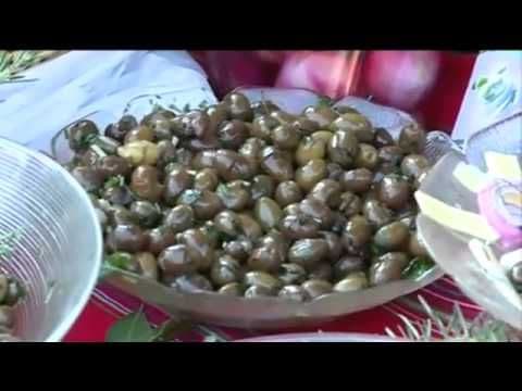 Sjutra Maslinijada u Starom Baru Sjutra Maslinijada u Starom Baru