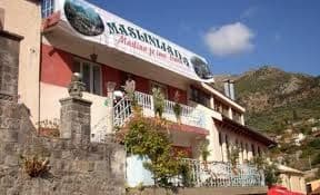 Danas Maslinijada u Baru Danas Maslinijada u Baru