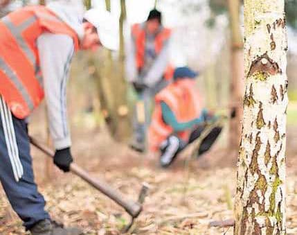 Pokušaj humanizacije kažnjavanja Pokušaj humanizacije kažnjavanja