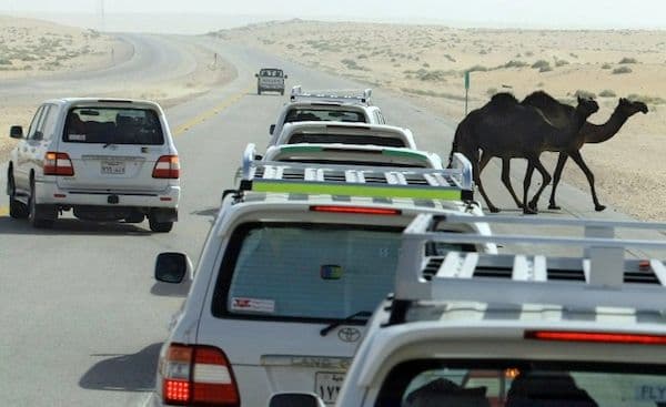 Saudijke traže svoje pravo da voze Saudijke traže svoje pravo da voze