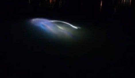 VIDEO: Misteriozno svijetleće biće primjećeno u Bristolu VIDEO: Misteriozno svijetleće biće primjećeno u Bristolu