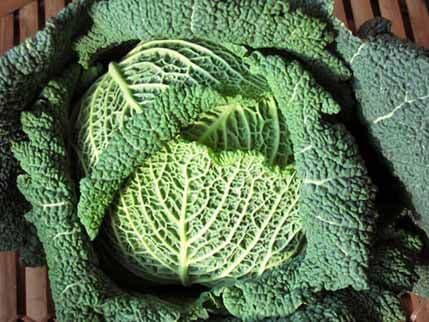 Grickalica koju možete jesti u neograničenim količinama Grickalica koju možete jesti u neograničenim količinama