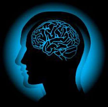 Disleksija - greška u povezivanju određenih zona u mozgu Disleksija - greška u povezivanju određenih zona u mozgu