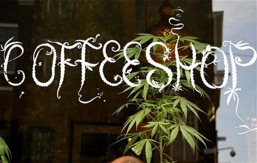 Urugvaj legalizovao trgovinu marihuanom Urugvaj legalizovao trgovinu marihuanom