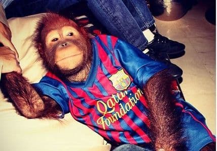 Kako je Paris Hilton uvrijedila Barsine navijače? Kako je Paris Hilton uvrijedila Barsine navijače?