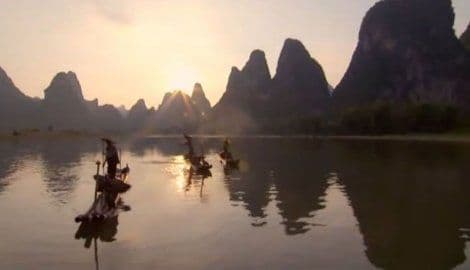 Tradicija koja izumire: Ribolov sa velikim pticama u Kini  Tradicija koja izumire: Ribolov sa velikim pticama u Kini