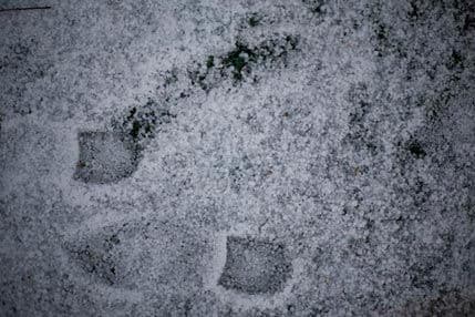 Snijeg u Kairu nakon 100 godina Snijeg u Kairu nakon 100 godina