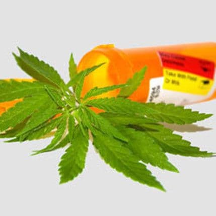 Slovenija: Sakupljeno više od 10.000 potpisa za legalizaciju marihuane Slovenija: Sakupljeno više od 10.000 potpisa za legalizaciju marihuane