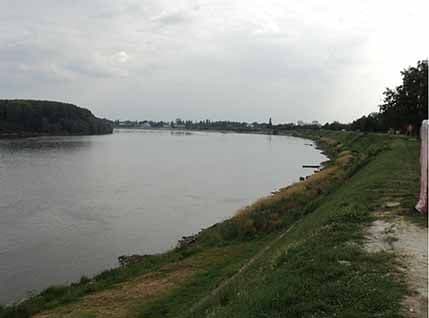 HRVATSKA: Sudar pet brodova na Dunavu, više povrijeđenih HRVATSKA: Sudar pet brodova na Dunavu, više povrijeđenih