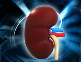 U Crnoj Gori urađene 42 transplatacije bubrega U Crnoj Gori urađene 42 transplatacije bubrega