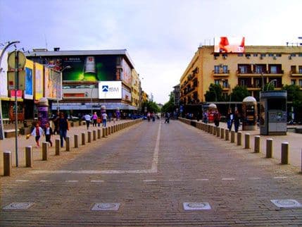 Sjutra zatvoren saobraćaj dva sata u ulici Slobode Sjutra zatvoren saobraćaj dva sata u ulici Slobode