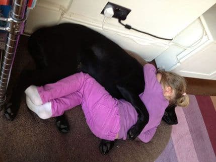 Kako ljubimci štite djecu od alergija i astme? Kako ljubimci štite djecu od alergija i astme?