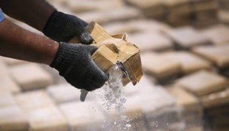 Trgovina drogom buja u zapadnoj Africi Trgovina drogom buja u zapadnoj Africi