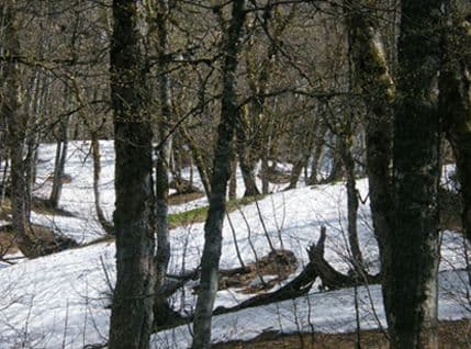 Sjutra počinje zima Sjutra počinje zima