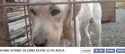 Ruka-šapi: Donirajte stare stvari za pse iz podgoričkog azila Ruka-šapi: Donirajte stare stvari za pse iz podgoričkog azila