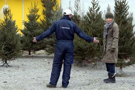 Šta krije jelka? Šta krije jelka?