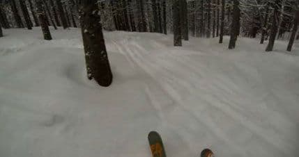 VIDEO: Skijanje kroz granje VIDEO: Skijanje kroz granje