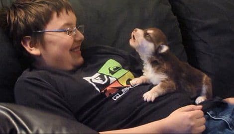 Dječak uči štene da zavija kao vuk Dječak uči štene da zavija kao vuk