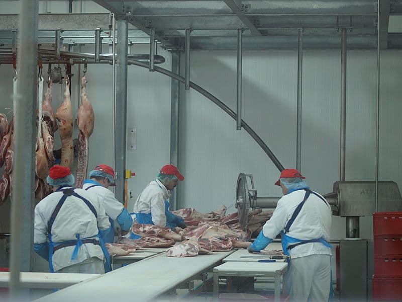 IM Goranović: Povećali proizvodnju, prodaju i broj radnika IM Goranović: Povećali proizvodnju, prodaju i broj radnika