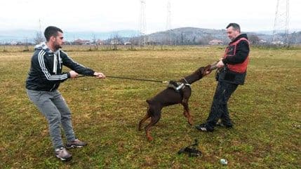 PETRIČEVIĆ: Uskoro i kod nas obuka i polaganje BBh-a ispita PETRIČEVIĆ: Uskoro i kod nas obuka i polaganje BBh-a ispita