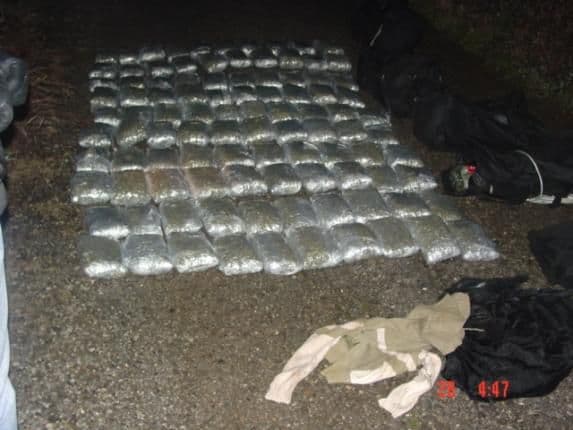 UP: Zaplijenjeno 120 kilograma skanka UP: Zaplijenjeno 120 kilograma skanka