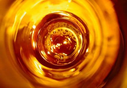 Otkrivena grobnica drevnog tvorca piva Otkrivena grobnica drevnog tvorca piva