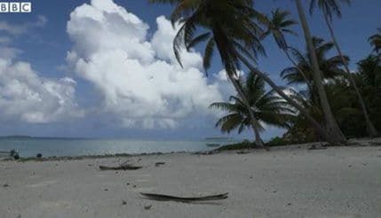 Palmerston - ostrvo čiji su žitelji potomci jednog čovjeka Palmerston - ostrvo čiji su žitelji potomci jednog čovjeka